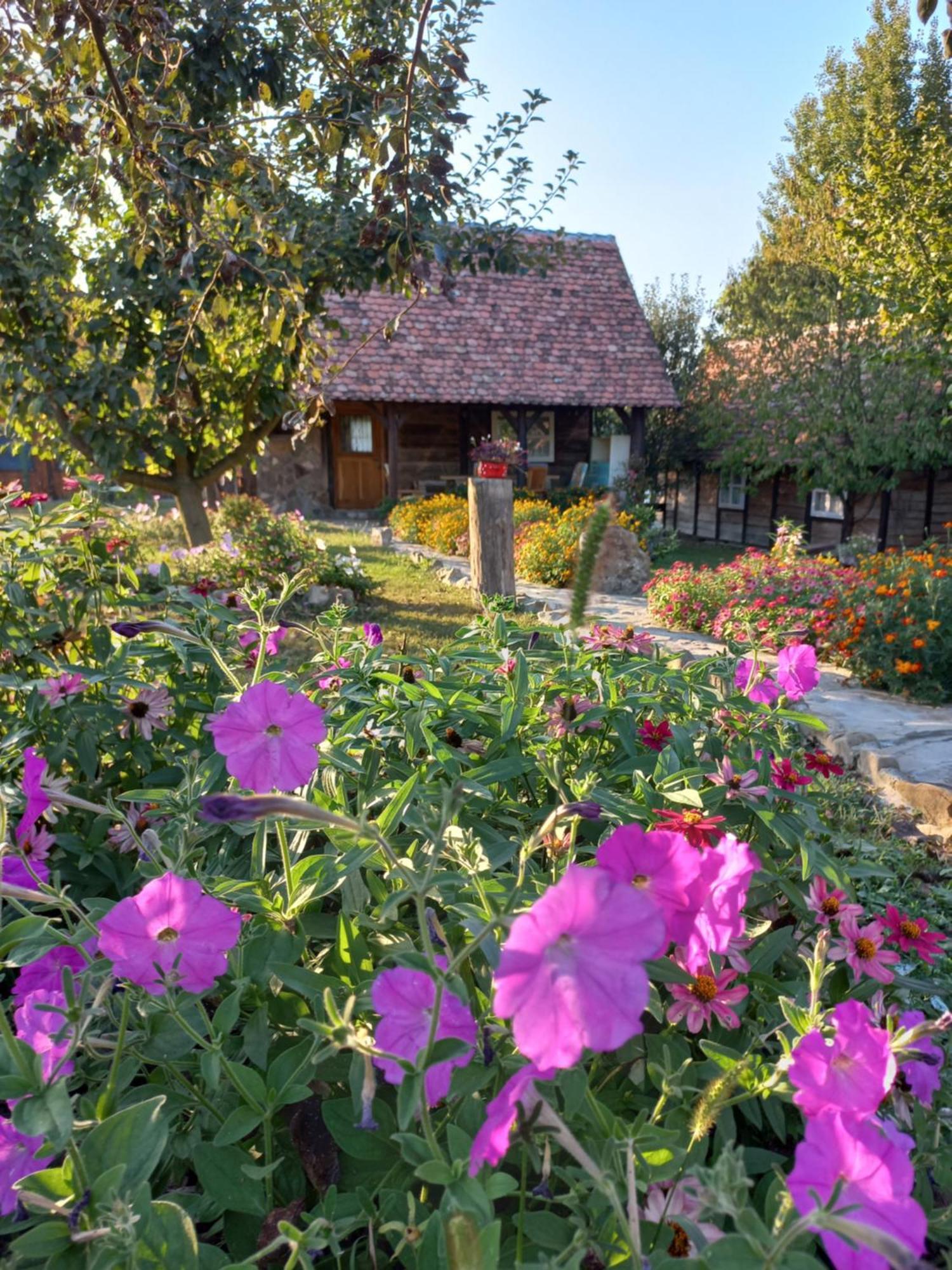 Вилла Magaze De Luxe Gradacac Экстерьер фото